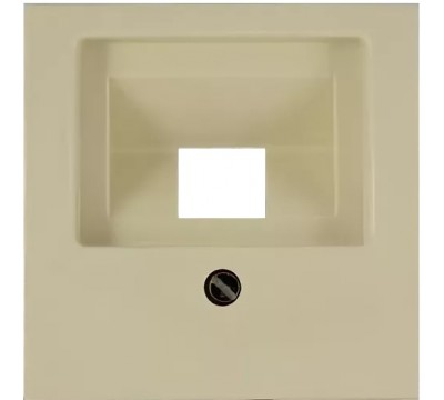 Basic 55 Лицевая панель для информационных розеток (RJ11/RJ45), цвет: Слоновая кость (1803-92-507)