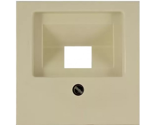 Basic 55 Лицевая панель для информационных розеток (RJ11/RJ45), цвет: Слоновая кость (1803-92-507)