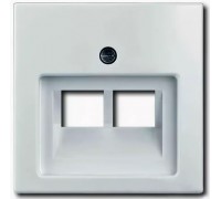 Basic 55 Лицевая панель для двойных информационных розеток (RJ11/RJ45), цвет: Альпийский белый (1803-02-94-507)