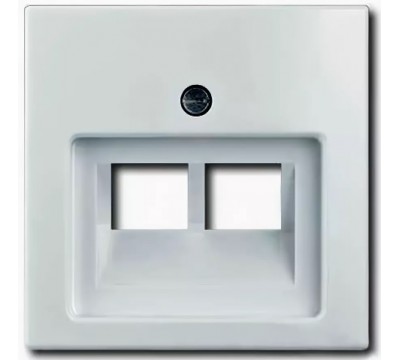 Basic 55 Лицевая панель для двойных информационных розеток (RJ11/RJ45), цвет: Альпийский белый (1803-02-94-507)