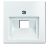 Basic 55 Лицевая панель для информационных розеток (RJ11/RJ45): Альпийский белый (1803-94-507)