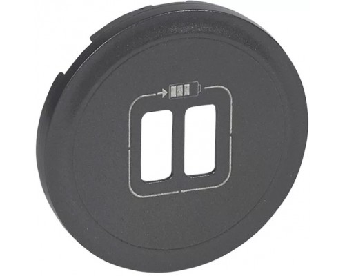 Celiane Лицевая панель для двойной розетки USB, цвет: Графит (арт. 067956)