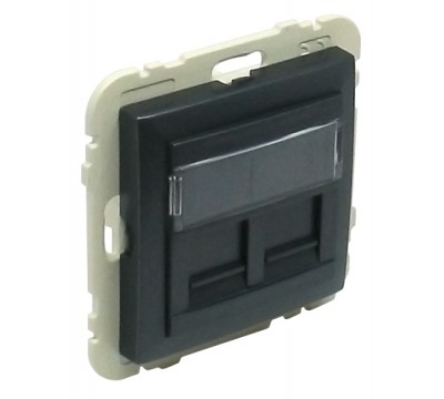 Лицевая панель с суппортом для двух коннекторов RJ45, цвет: серый (арт. 90442 SIS)