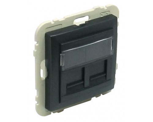 Лицевая панель с суппортом для двух коннекторов RJ45, цвет: серый (арт. 90442 SIS)