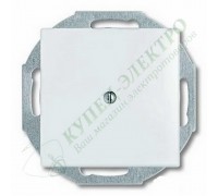 Basic 55 Заглушка с суппортом, цвет: Альпийский белый (2538-94-507)