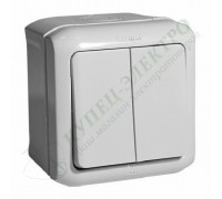 Переключатель двухклавишный IP44, 10А, цвет: Серый (арт. 782331)