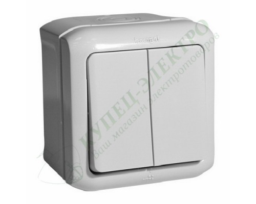 Переключатель двухклавишный IP44, 10А, цвет: Серый (арт. 782331)