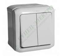Выключатель двухклавишный IP44, 10А, цвет: Серый (арт. 782332)
