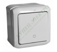 Выключатель двухклавишный IP44, 10A, цвет: Серый (арт. 782339)