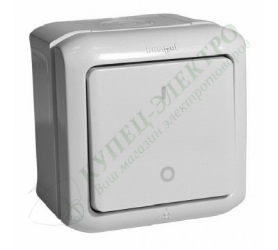 Выключатель двухклавишный IP44, 10A, цвет: Серый (арт. 782339)