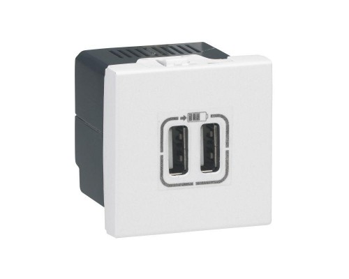 Розетка USB Mosaic 2мод. для зарядки бел. Leg 077594