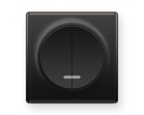 Механизм выключателя 2-кл. СП Florence 10А IP20 с подсветкой черн. 1E31801303 OneKeyElectro 2172825