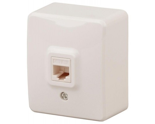 Розетка информационная RJ45 ОП 11-3203-02 Эксперт сл. кость ЭРА Б0020731